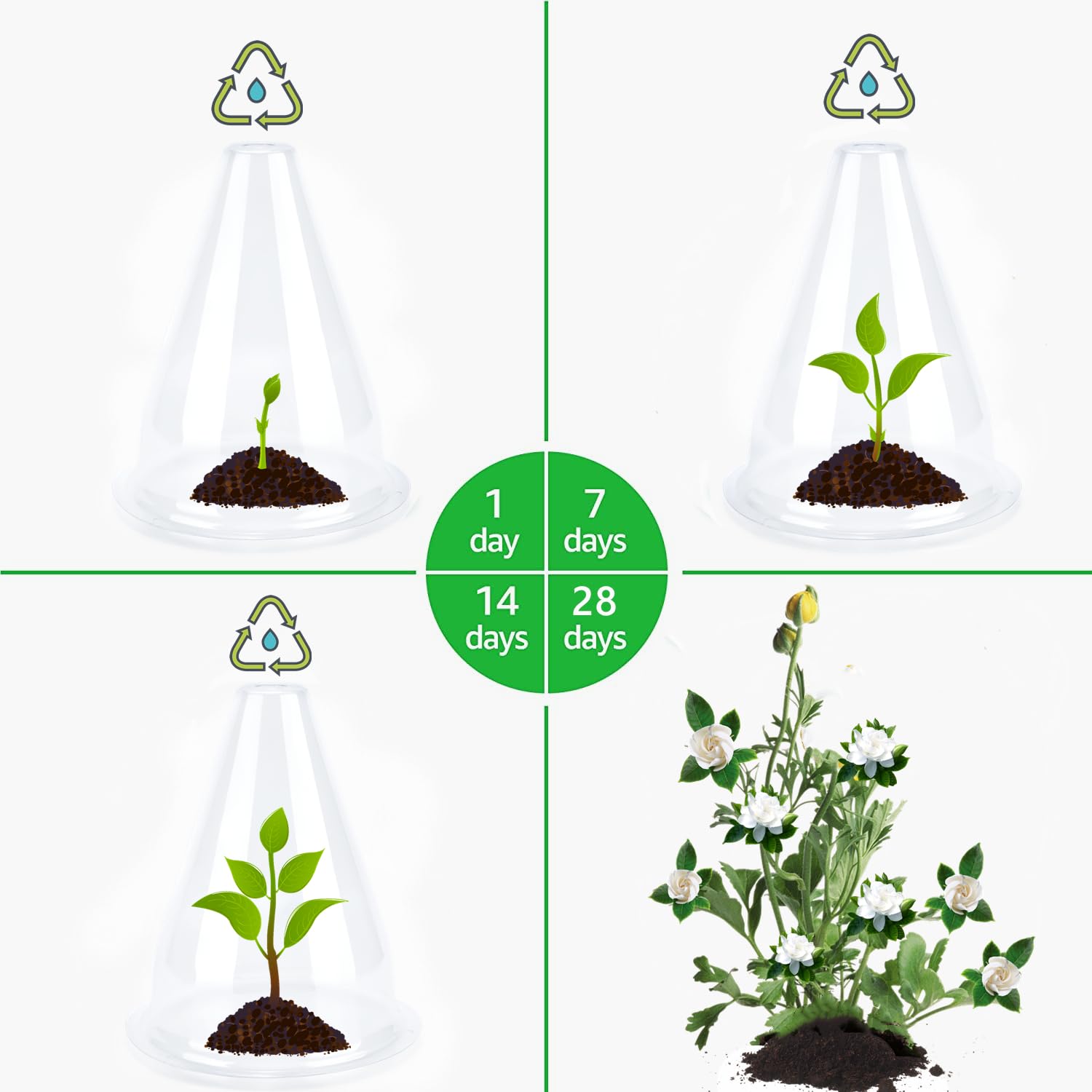 【12 Pieces】 Garden Cloches for Plants, Plant Covers Plant Protectors Transparent Bell Jar Cloches to Protect Plants from Birds, Slugs, Frost, Freeze Weather, 7.8" D x 9.4" H, Transparent