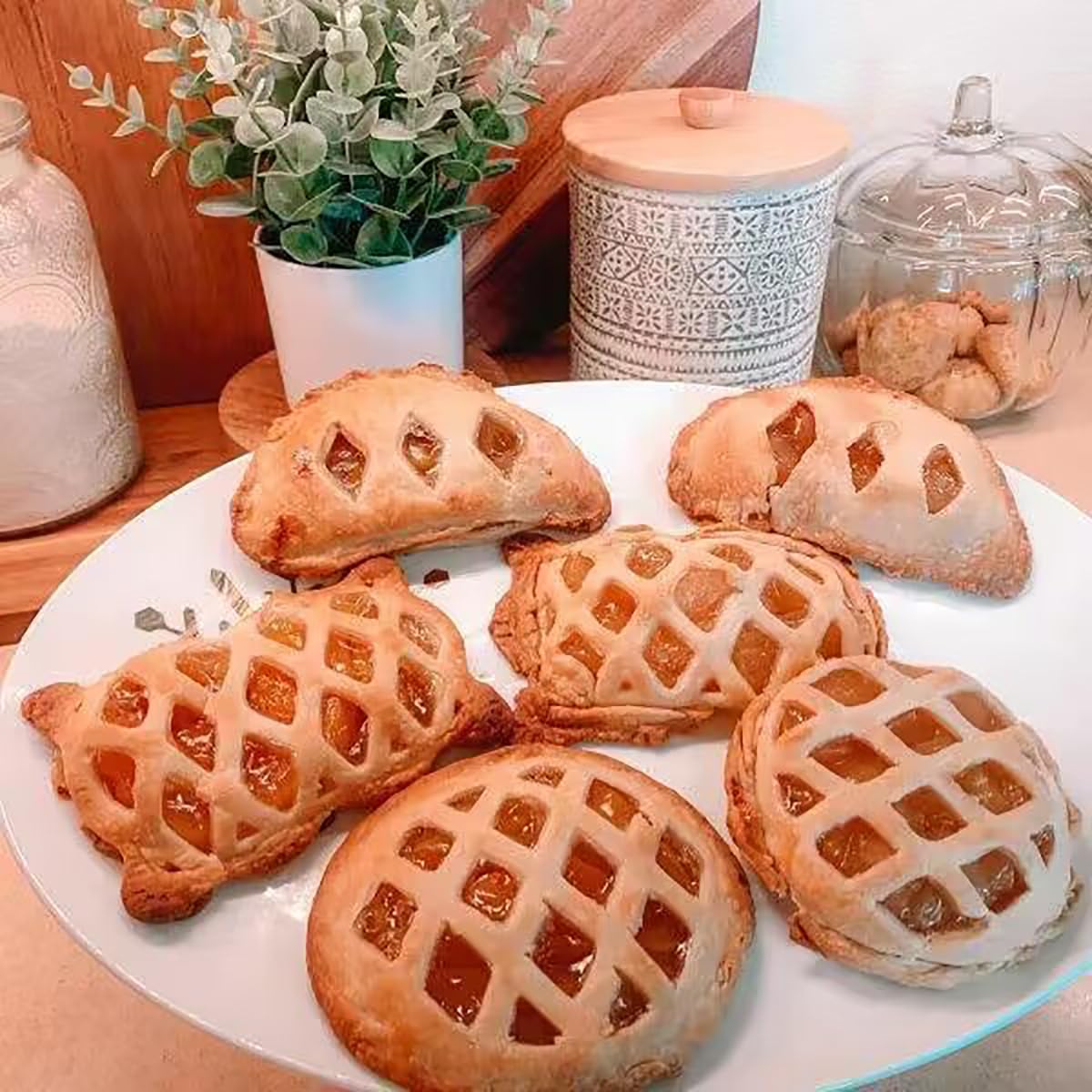 Dough Presser Pocket Pie Molds, Party Potluck Hand Pie Molds, Hand Pie Molds, Apple, Pumpkin And Acorn Shapes 3-Piece (Round Pie Mold)