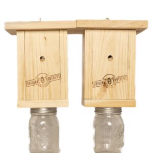 Original B Brothers - Carpenter Bee Trap