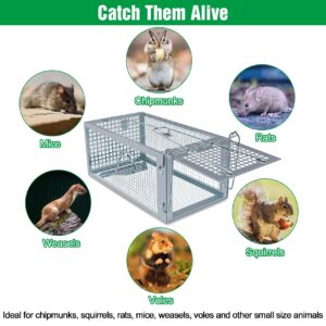 2 Packs Humane Rat Trap Outdoor, Wanqueen Humane Mouse Traps Indoor, Small Rodent Chipmunk Squirrel Trap and Other Live Animal Cage Catch and Release