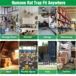 2 Packs Humane Rat Trap Outdoor, Wanqueen Humane Mouse Traps Indoor, Small Rodent Chipmunk Squirrel Trap and Other Live Animal Cage Catch and Release