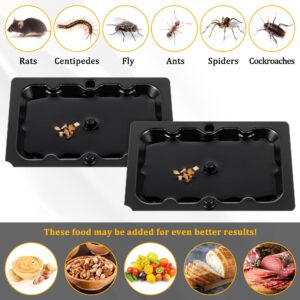 Qualirey 36 Pack Mouse and Insect Glue Traps, Strong Sticky Mice Traps Indoor for Home, Pre Scented Rodent Traps with Non Toxic Glue for House Garage, Ready to Use, Safe to Children and Pets (Black)