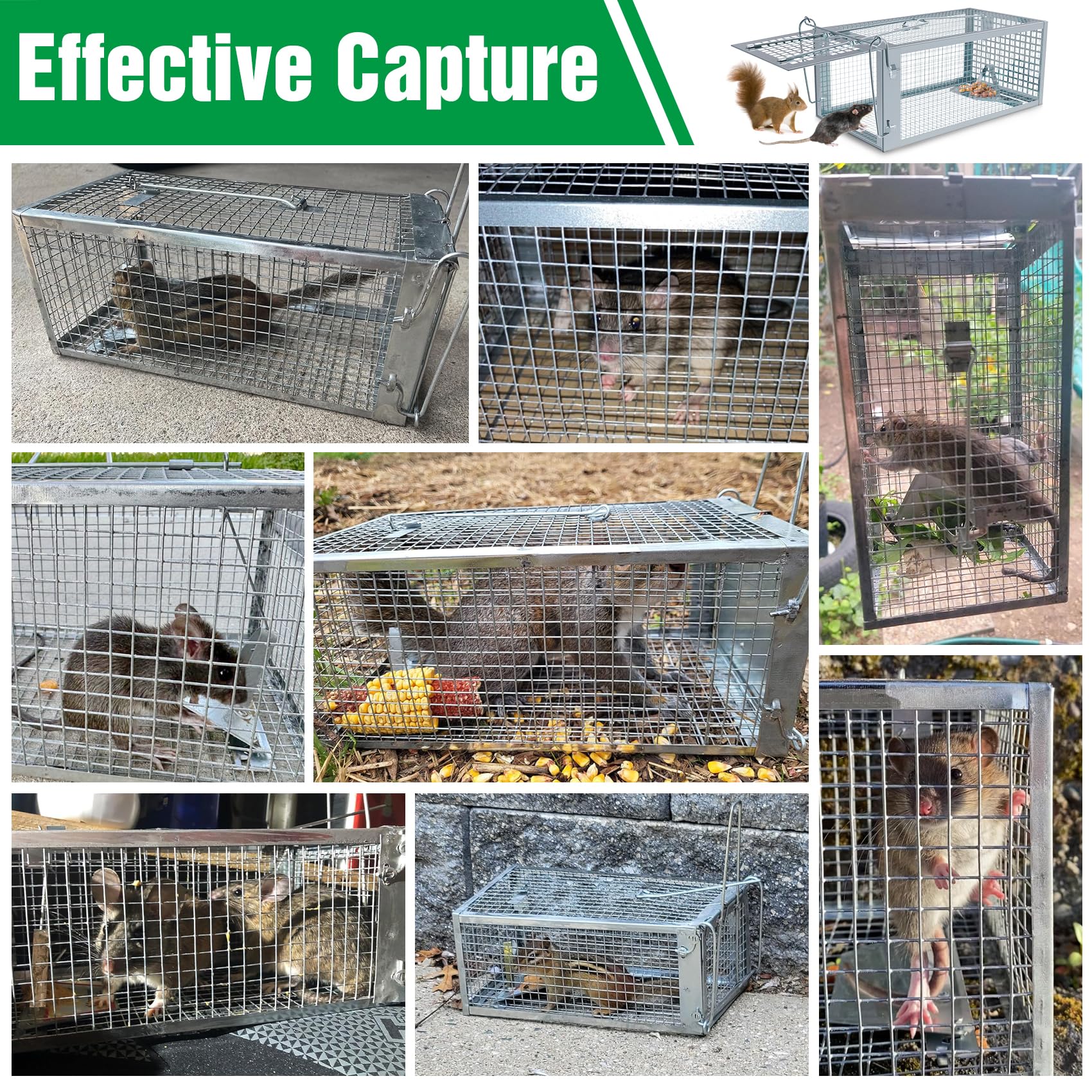 2 Packs Humane Rat Trap Outdoor, Wanqueen Humane Mouse Traps Indoor, Small Rodent Chipmunk Squirrel Trap and Other Live Animal Cage Catch and Release