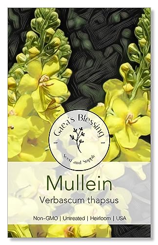 Gaea's Blessing Seeds - Mullein Seeds - Non-GMO Herb Seeds with Easy to Follow Instructions, Heirloom, Open-Pollinated, Untreated