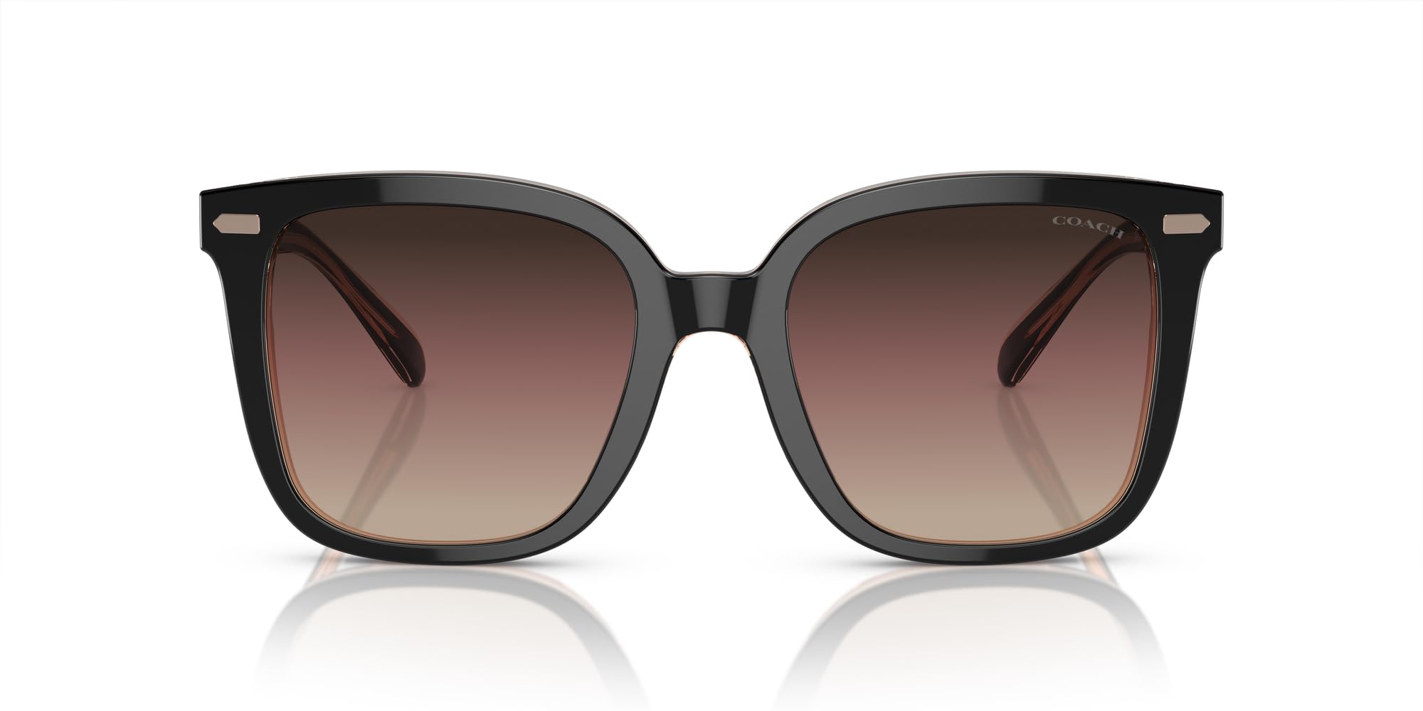 Coach HC8381U Universal Fit Sunglasses, Black/Transparent Blush/Brown Purple Grey Gradient, 54 mm