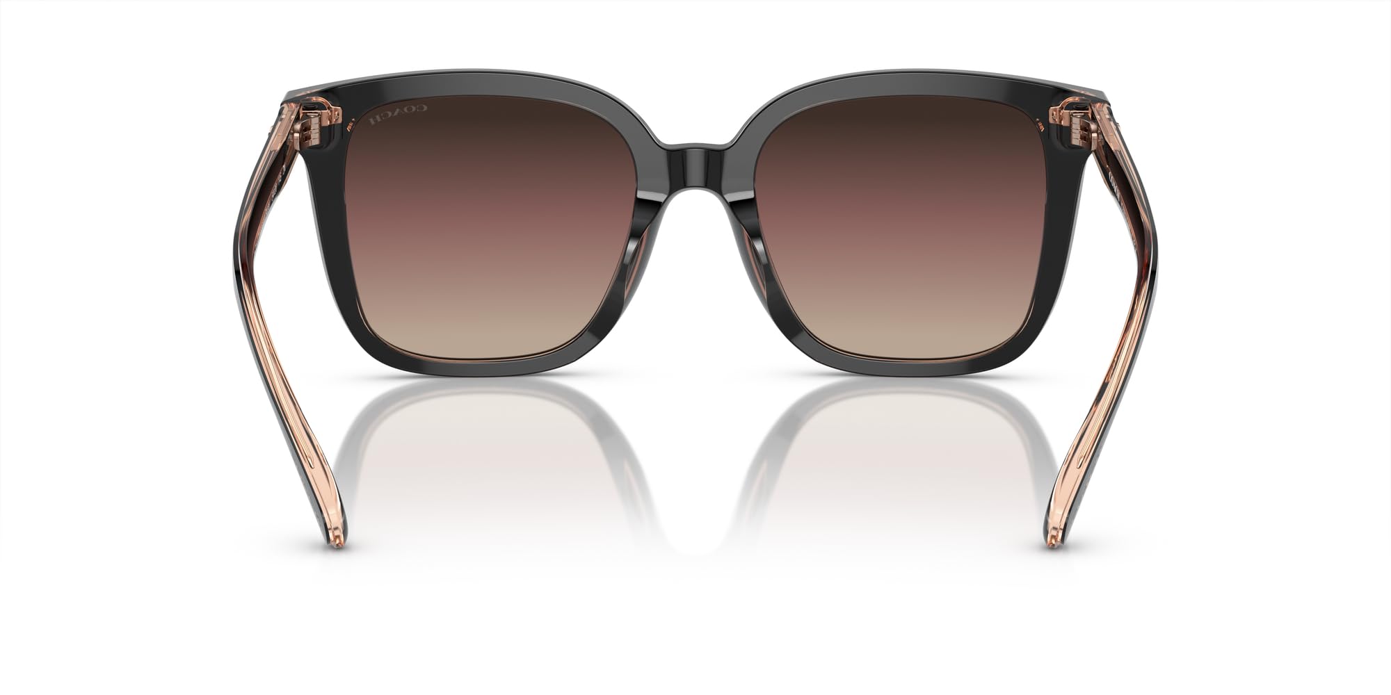 Coach HC8381U Universal Fit Sunglasses, Black/Transparent Blush/Brown Purple Grey Gradient, 54 mm