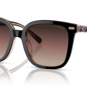 Coach HC8381U Universal Fit Sunglasses, Black/Transparent Blush/Brown Purple Grey Gradient, 54 mm