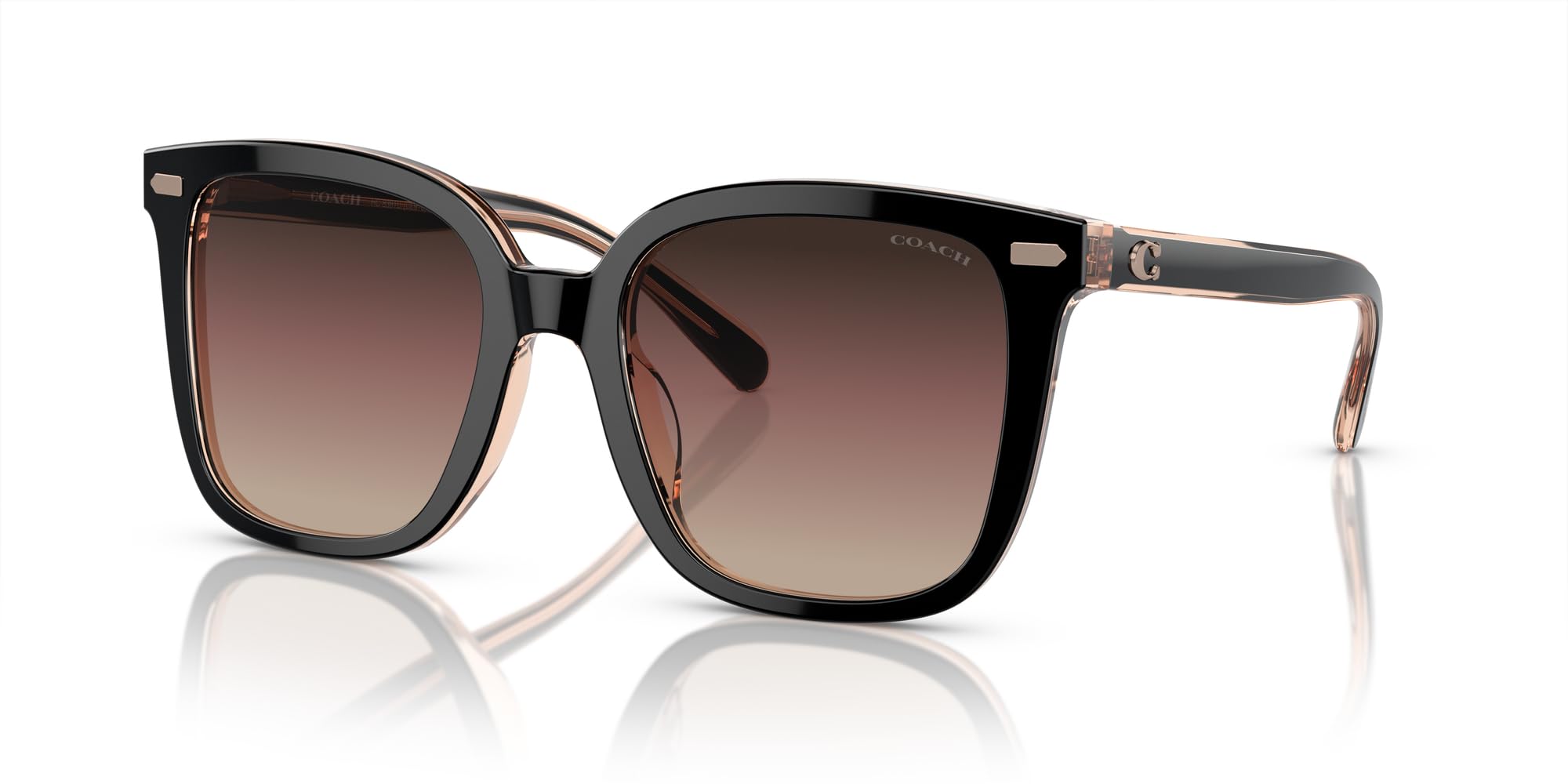 Coach HC8381U Universal Fit Sunglasses, Black/Transparent Blush/Brown Purple Grey Gradient, 54 mm