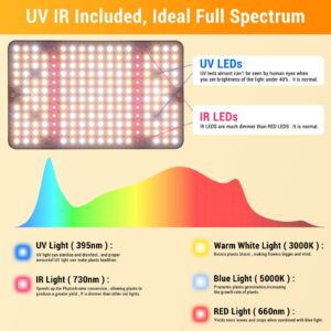 FECiDA Grow Lights for Indoor Plants Full Spectrum, Desk Grow Light, 4/8/12 Hr Timer Table Top Houseplants Grow Lamp, 208PCS LEDs, 2000 Lumen, Bright Enough, 16"-24" Height Adjustable