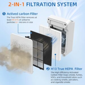 C545 HEPA Replacement Filter S for Winix C545 Air Purifier,2 x H13 True HEPA Filters + 8 x Activated Carbon Pre-Filters,Part 1712-0096-00 and 2522-0058-00