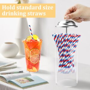 Mevtok Straw Holder for Standard Size Drinking Straws, Mevtok Acrylic Plastic Straw Dispenser for Counter with Lid (Straws Not Include)