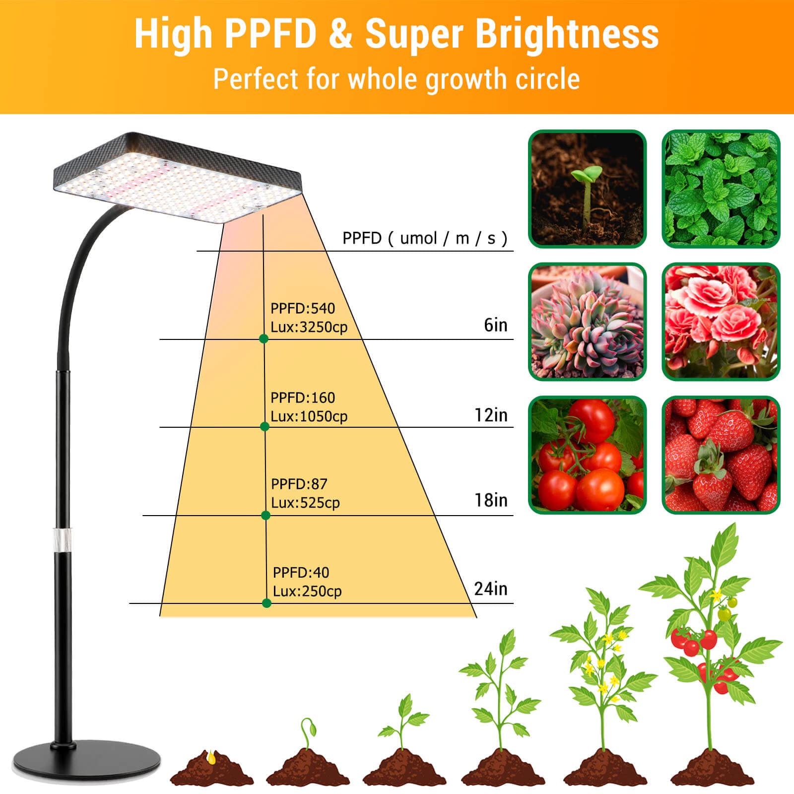 FECiDA Grow Lights for Indoor Plants Full Spectrum, Desk Grow Light, 4/8/12 Hr Timer Table Top Houseplants Grow Lamp, 208PCS LEDs, 2000 Lumen, Bright Enough, 16"-24" Height Adjustable