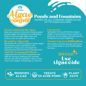 Algaecide for Fountains – Clarify and Controls Algae for Large and Small Fountain (8 oz)