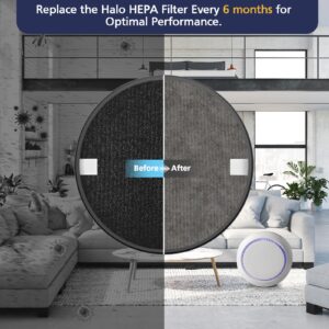 4 Pack Halo H13 True HEPA Replacement Filter, Compatible with Pure Enrichment PureZone Halo Air Puri-fier Model PEAIRDSK, 2-in-1 True HEPA Filters and Activated-Carbon Pre-filters,