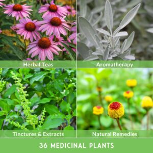 Ultimate Medicinal Herbs Collection - 36 Variety Pack of Herb Seeds for Growing Essential Healing Plants - Mixed Assortment for Homesteaders - Non-GMO Heirloom Varieties - Survival Garden Seeds