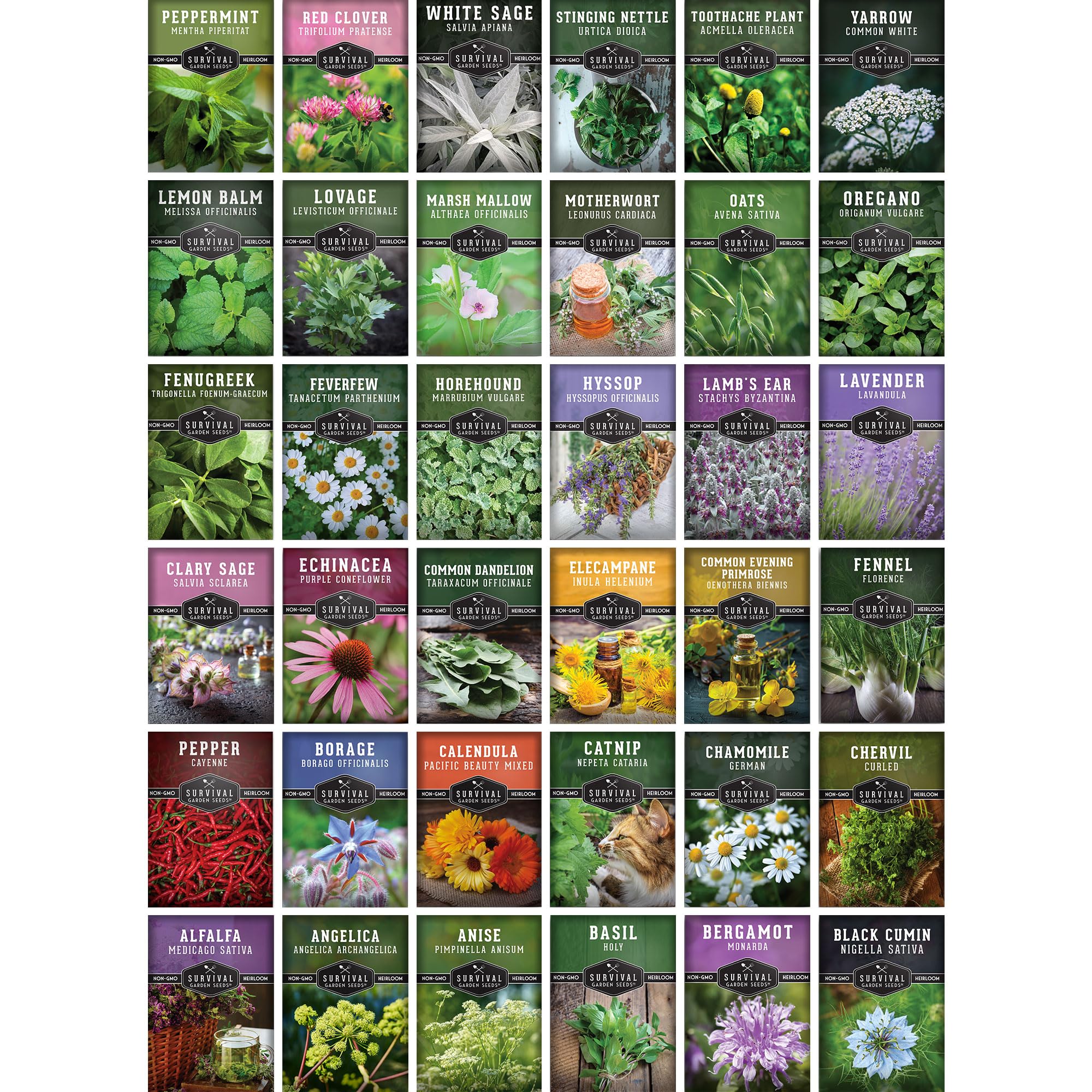 Ultimate Medicinal Herbs Collection - 36 Variety Pack of Herb Seeds for Growing Essential Healing Plants - Mixed Assortment for Homesteaders - Non-GMO Heirloom Varieties - Survival Garden Seeds