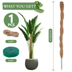 Moss Pole for Plants Monstera - 47 Inch Plant Stakes for Indoor, Moss Poles for Climbing Plants, Handmade Coco Coir Pole Plant Support for Creeper Plants Grow Upwards（Winding）