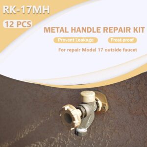 Bzumperyz RK-17MH Repair Kit Metal Handle Repair Kit, Replace for Woodford Model 17 Outdoor Faucet, Prevent Leaking Frost-Proof (12 Pcs) (RK-17MH)