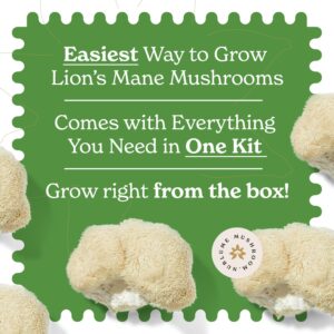 NuBlume Organic Lion's Mane Mushroom Grow Kit | Grow Your Own Fresh Gourmet Mushrooms at Home | Edible Indoor Mushroom Growing Kits Great Gift