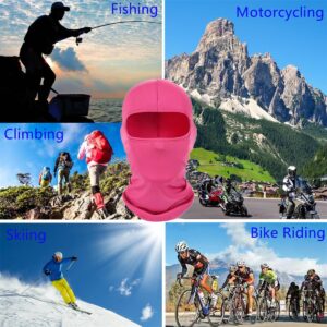 Pink Balaclava Ski Mask Head Mask Full Face Mask Windproof Sun UV Protection Hood for Women Men