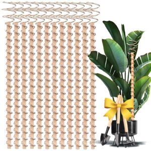 8-pack electroculture copper gardening antenna - 99.9% pure copper wire, copper garden stakes for growing garden plants fruits and vegetables (12 inch) (12inch, 8)