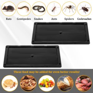 Qualirey 24 Pack Glue Traps for Rats and Snakes, Larger and Heavy Duty Baited Sticky Traps with Non Toxic Glue, Exterminator Plastic Mouse Indoor Trap, Ready to Use, Safe to Children and Pets (Black)