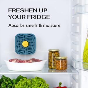 ZenAir Fridge Deodorizer Odor Eliminator - Refrigerator Deodorizer More Effective Than Baking Soda - Activated Charcoal Fridge And Freezer Air Freshener - Natural Smell, Moisture & Odor Absorber