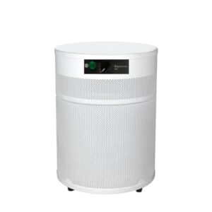 Airpura R400-The everyday air purifier