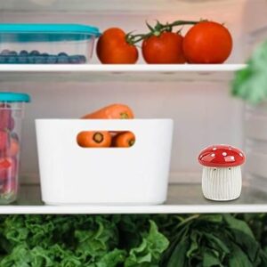 Mushroom Baking Soda Holder For Fridge Deodorizer Ceramic Baking Soda Fridge Holder Odor Absorber Container Smell Remover Cute Fridge Deodorizer Refrigerator Odor Eliminator(No Soda)