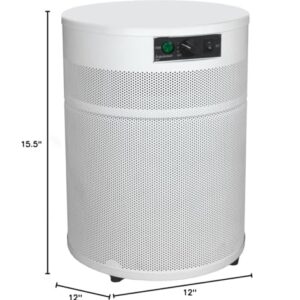 Airpura R400-The everyday air purifier