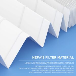 Ganteny Classic 200/300 Series Particle HEPA Filter Replacement Compatible with Blueair Classic 200/300 Series Air Cleaner Purifier Models 201, 203, 205, 215B, 250E, 270E, 303, 2 Pack