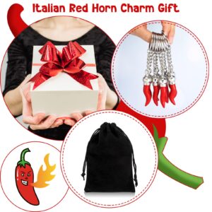 Remuuly 10 Pcs Italian Horn Keychain Italian Red Horn Charm Chili Pepper Keychain Souvenir for Car Mirror Accessories(Silver)