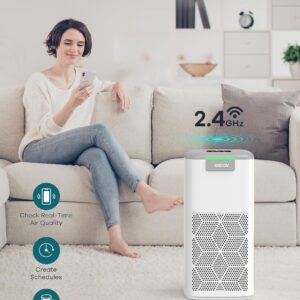 WELOV P200 PRO Air Purifiers with Pet Care Filter Bundle: Up to 1570 Ft² in 1 Hr With Air Quality Monitor, Smart WiFi, Alexa Control