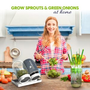 Premium Sprouts Growing Kit & Green Onion Regrower with 2 Mason Jars & Superior Sprout lids. Perfect Sprouter Set for Growing Broccoli, Alfalfa & Beans.