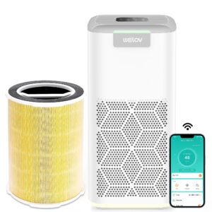 WELOV P200 PRO Air Purifiers with Pet Care Filter Bundle: Up to 1570 Ft² in 1 Hr With Air Quality Monitor, Smart WiFi, Alexa Control