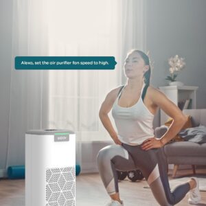 WELOV P200 PRO Air Purifiers with Pet Care Filter Bundle: Up to 1570 Ft² in 1 Hr With Air Quality Monitor, Smart WiFi, Alexa Control