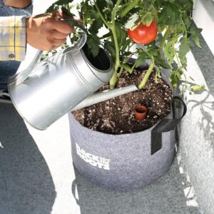 Back to the Roots Self-Watering Terracotta Olla Pot, 700mL Provides 1 Week of Precision Watering