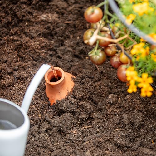 Back to the Roots Self-Watering Terracotta Olla Pot, 700mL Provides 1 Week of Precision Watering