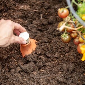 Back to the Roots Self-Watering Terracotta Olla Pot, 700mL Provides 1 Week of Precision Watering