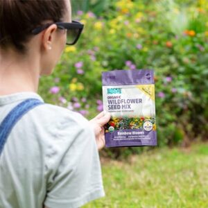 Back to the Roots Organic Wildflower Mix — Rainbow Blooms