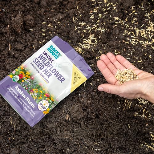 Back to the Roots Organic Wildflower Mix — Rainbow Blooms