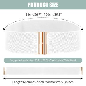 Andibro Wide Elastic Belt for Women, Stretch Waist Belt Ladies Dress Buckle Belt Vintage Cinch Belt Adjustable Waistband (White)