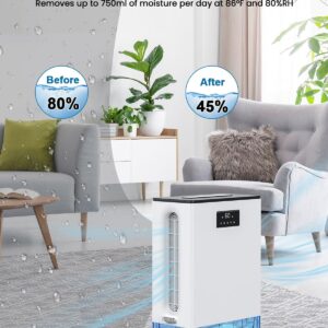 BIZEWO Dehumidifier for Home, Queit Dehumidifiers for Basement, Bathroom, Bedroom with 101 oz Water Tank, Large Room Dehumidifier with 2 Working Mode, Auto Shut Off, 7 Colors LED Light