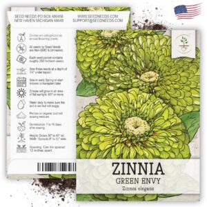 Seed Needs, Lime Green Envy Zinnia Seeds - 250 Heirloom Seeds for Planting Zinnia elegans - Annual Cut Flowers to Grow in a Butterfly Garden Outdoors (1 Pack)