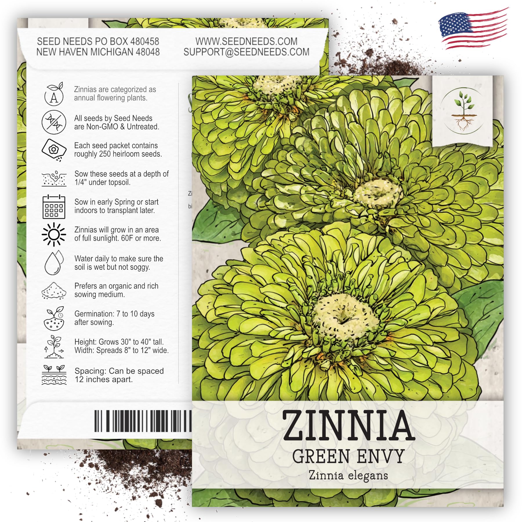 Seed Needs, Lime Green Envy Zinnia Seeds - 250 Heirloom Seeds for Planting Zinnia elegans - Annual Cut Flowers to Grow in a Butterfly Garden Outdoors (1 Pack)