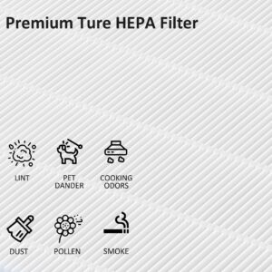 ProHEPA 9000 True HEPA Filters Replacement Compatible with VEVA ProHEPA 9000, 4 True HEPA Filters