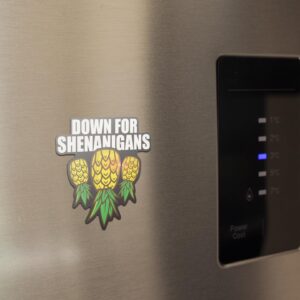 Down for Shenanigans Upside Down Pineapple Magnet for Cruise Door, Refrigerator and Car Bumper, Swinger Lifestyle Gifts, Size 4in