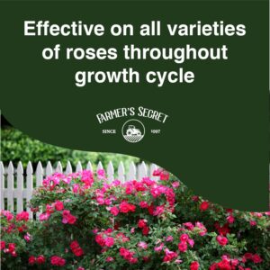 Farmer's Secret Rose Booster Fertilizer (32oz) - Super Concentrated - Formulated for All Types of Roses Throughout The Life Cycle - Encourages Healthy Growth and Vibrant Blooms