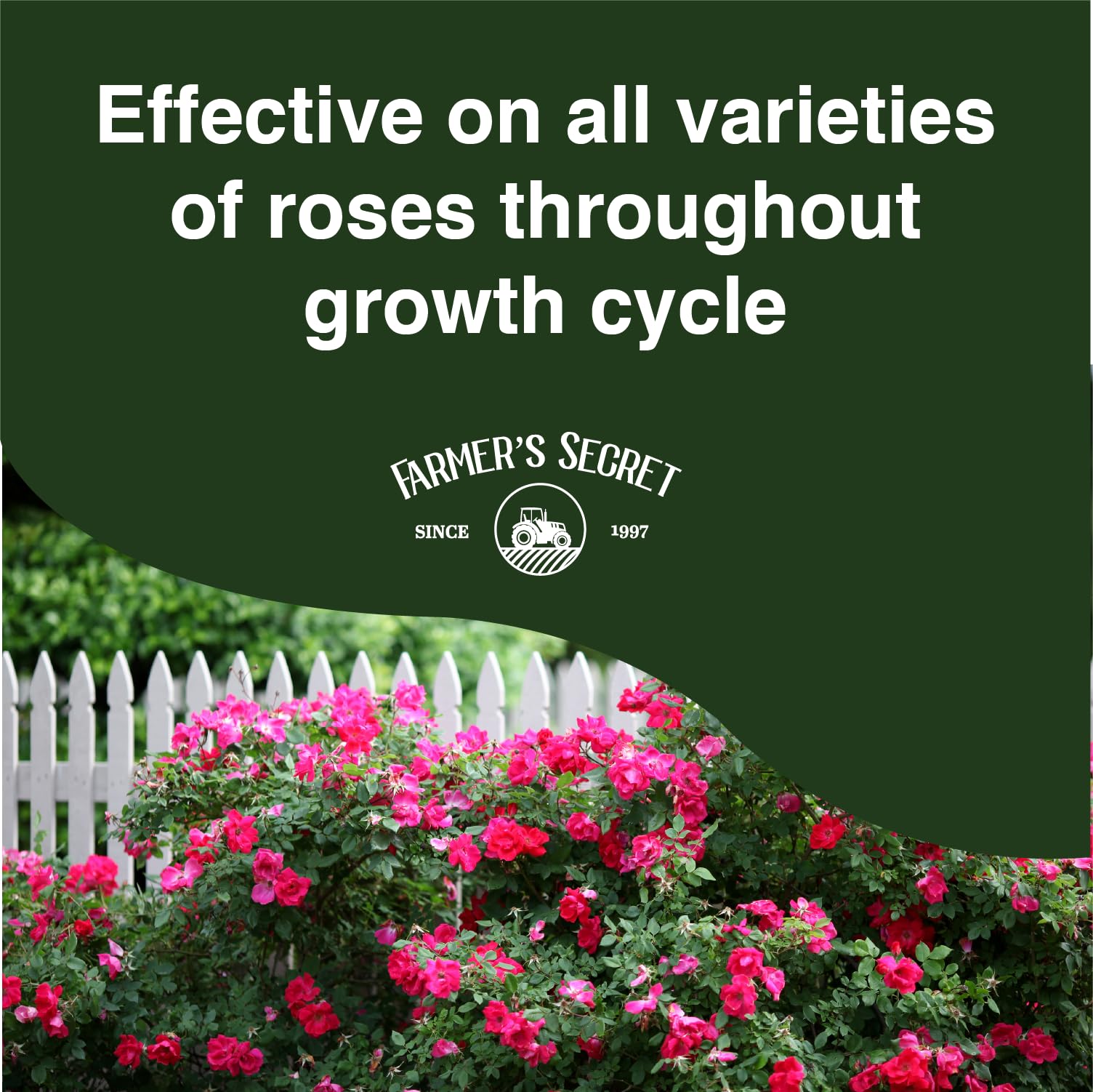 Farmer's Secret Rose Booster Fertilizer (32oz) - Super Concentrated - Formulated for All Types of Roses Throughout The Life Cycle - Encourages Healthy Growth and Vibrant Blooms