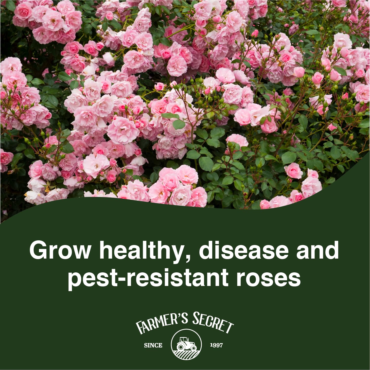 Farmer's Secret Rose Booster Fertilizer (32oz) - Super Concentrated - Formulated for All Types of Roses Throughout The Life Cycle - Encourages Healthy Growth and Vibrant Blooms